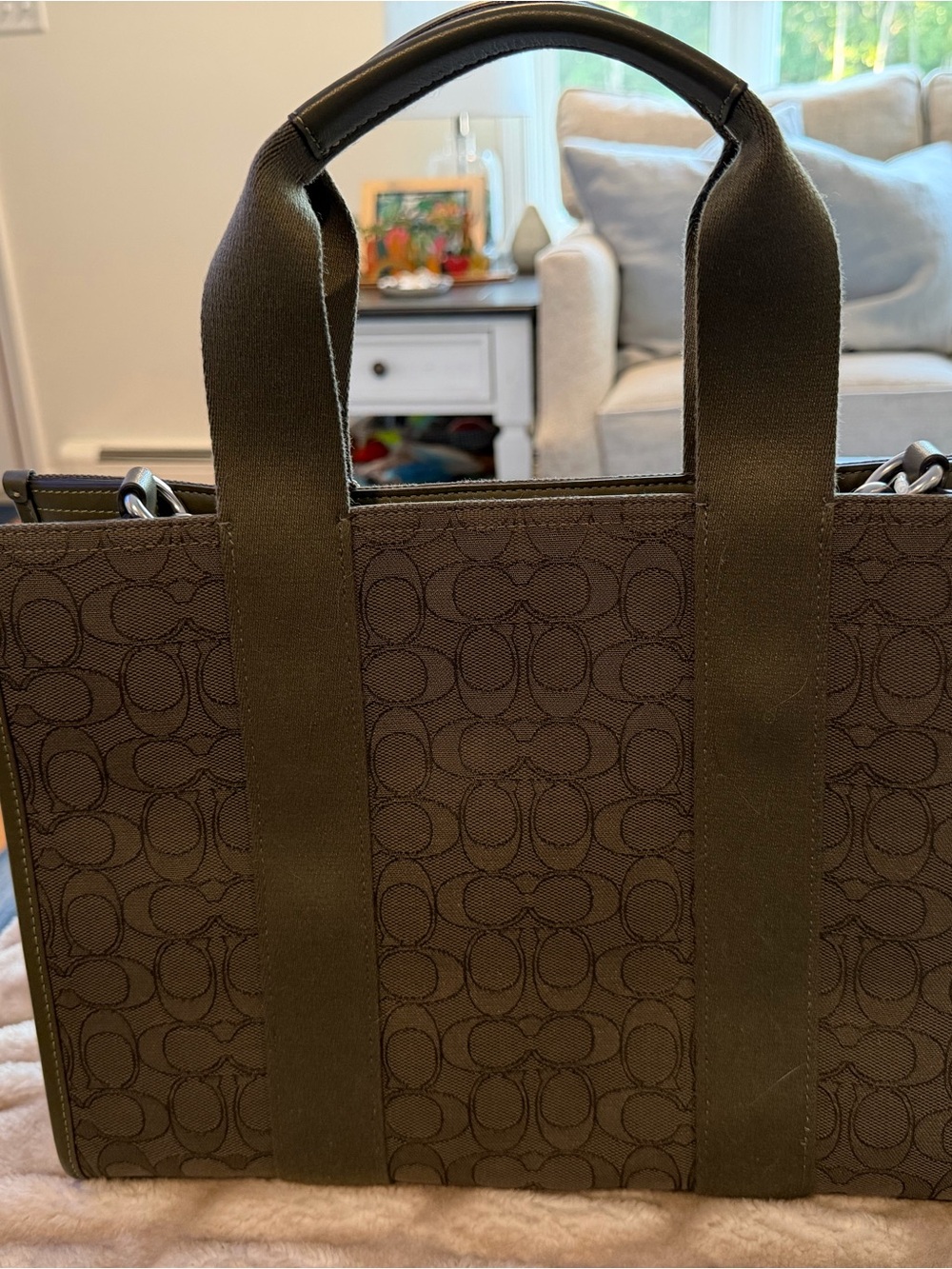 Coach Signature Canvas Tote Bag in Dark Army Green
